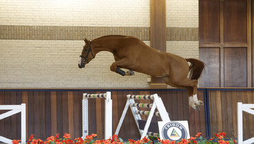 Trigon Auction ends the year with 16 young talents!