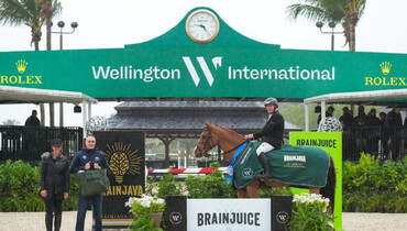 Victory for Vale and Carissimo 25 in the $226,000 BrainJuice Holiday II CSI4* Grand Prix sponsored by BrainJava