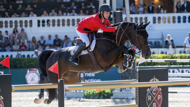 Saturday: Flanders Embryo Auction in the Emirates