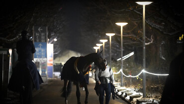 Mandatory closure of the FEI stables area: Playing catch with responsibility