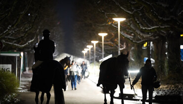 Study finds 58.5% of 1389 grooms fail to see relevance of FEI initiatives aimed at improving career recognition and working conditions