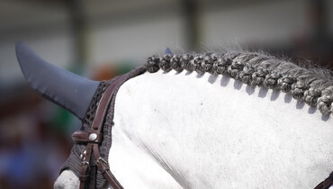 This weekend's CSI3* Grand Prix winners