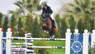 Conor Swail always counts on Crosby, winning $32,000 CSI4* 1.50m Speed