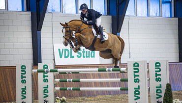 A formula for success: WEF Sport Horse Auction presents collection for its 12th edition