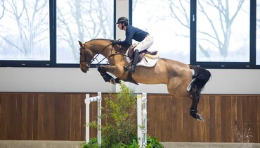 Redfield Farm, Stal Hendrix and Andre Thieme present a top-level collection for their second auction at the WEC in Ocala