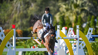 Megan McDermott makes a memory in $32,000 Barnwalkers CSI3* 1.50m Speed