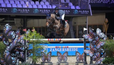 Ahlmann and Anquetin on top at Zangersheide International