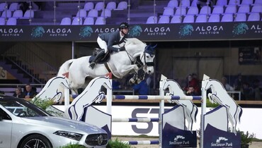 Julien Anquetin and Z Ice Cube Z top the CSI4* Catherine de Buyl Prize at Zangersheide International