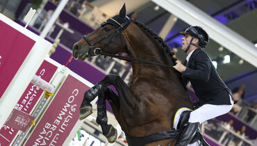 The horses and riders for the 2024-edition of CHI Al Shaqab