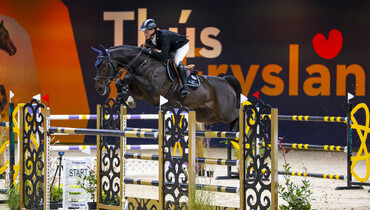 Special edition to the WEF Sport Horse Auction: VDL Cagaro