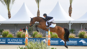 Ali Ramsay hits her stride with Godfather B Belesbat in $32,000 CSI3* 1.45m Classic