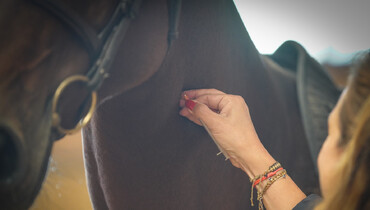 FEI Equine Prohibited Substances List Group proposes changes to the EPSL