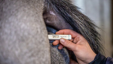Caterina Termine: “Biosecurity is everybody’s responsibility”