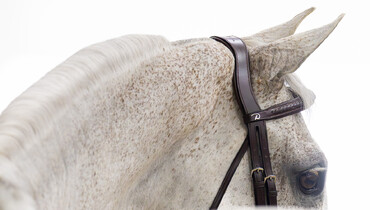 Trotting up for the Longines League of Nations™ in Ocala