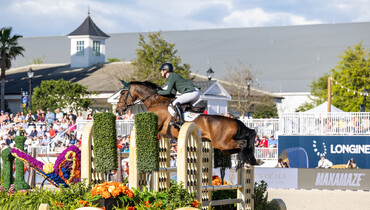 Legacy wins Romain Rotty the 2024 Longines WBFSH Jumping Breeder Award