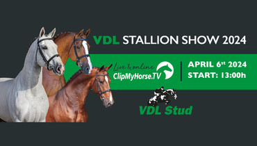 VDL Stud's annual stallion show: 6th April 13:00 o’clock