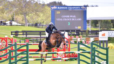 Conor Swail speeds to victory in $32,000 CSI2* Welcome Stake at Blenheim EquiSports