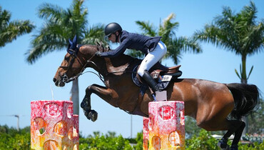 Linguini de la Pomme back to winning ways for Philip McGuane in $32,000 ProElite CSI3* 1.45m Speed