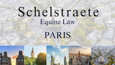 The right way to invest in showjumpers: Finding the balance between speculation, fairness and horse welfare through contract