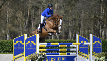 Bidding has started! Zangersheide presents another top-class selection of young horses in their upcoming Online Auction from 20 – 23 April!