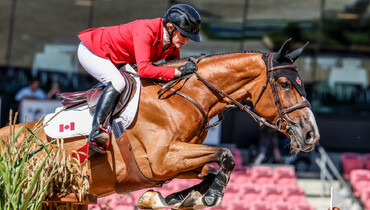 The Rein-family's Nikka vd Bisschop to Erynn Ballard