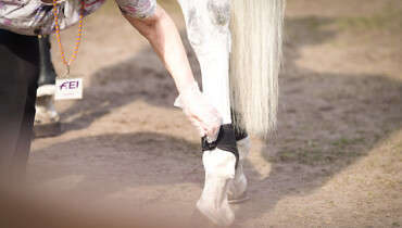 FEI’s 2024 Rules Revision Process: First draft of proposed rule changes published