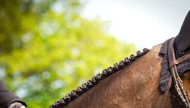This weekend's three-star and two-star Grand Prix winners