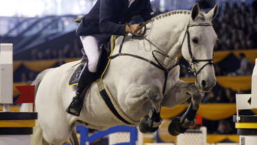Sultan returns to Bruce Menzies to retire