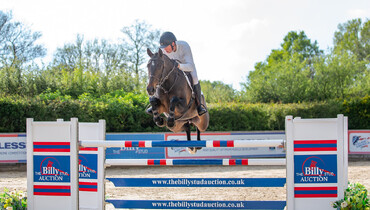 The Billy Stud Spring Auction – Online or in the room, here’s everything you need to know!