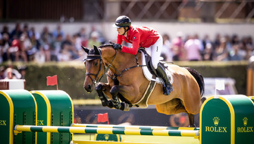 Tabasco de Toxandria Z back at Coolmore Showjumping