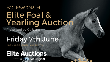 Bolesworth Elite Foal & Yearling Auction presented by Gallagher Friday 7th June, 8.30pm GMT