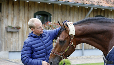 Willem Greve - “I try to never put pressure on my horses