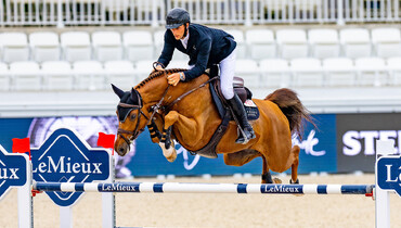 Cydello tops the second WBFSH Breeder Ranking for jumping horses of 2024