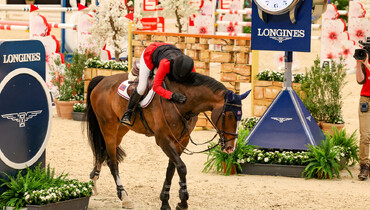 Katie Dinan's World Cup-winner Brego R'N B retired from the sport