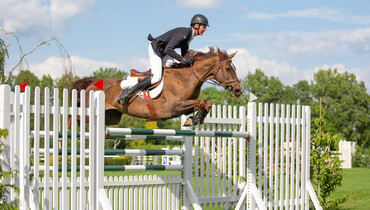 Sweet win for Edwards in the Derby Tankard at Hickstead