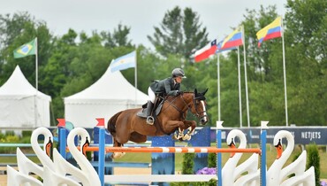 Quala vd Rollebeek rocks two-star debut with Daisy Farish at Traverse City Horse Shows