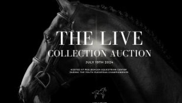 The fifth edition of The Collection Auction goes live for the first time, promising an unforgettable event!