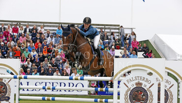 The Danish and Hungarian teams for the European Championships