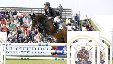 Eight new stallions approved in Holstein