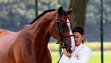 Trotting-up at Château de Versailles, photos from the jumpers' first horse inspection at the 2024 Olympics