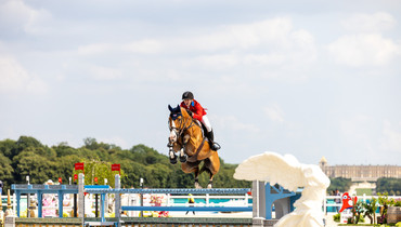 McLain Ward and Ilex part ways