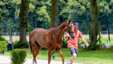 89 of 90 horses accepted at the second horse inspection at the 2024 Olympic Games
