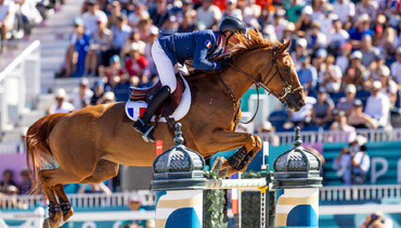 Julien Epaillard's Dubai du Cedre sold