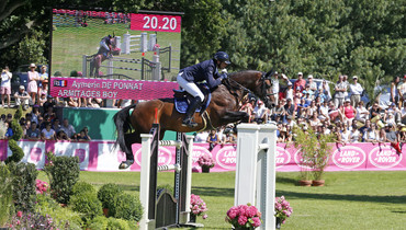 Armitages Boy to Stephex Stables
