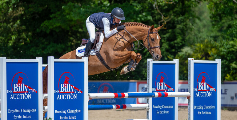 The Billy Stud Summer Auction – Wednesday 14th August
