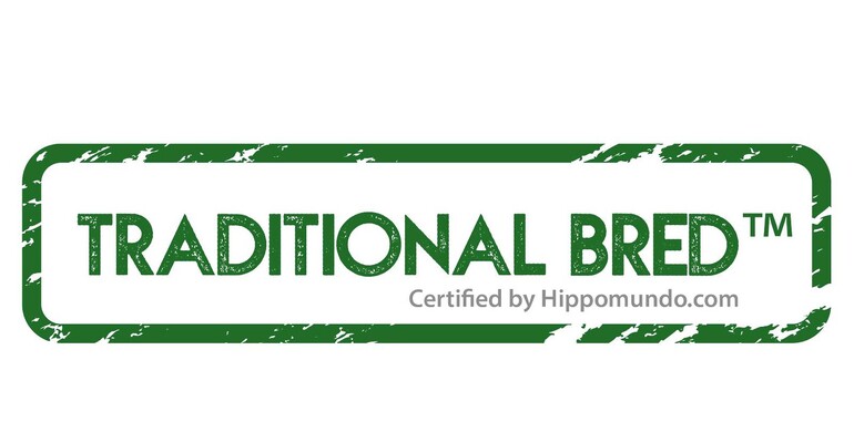 New label “Traditional Bred” pays tribute to tradition in warmblood breeding
