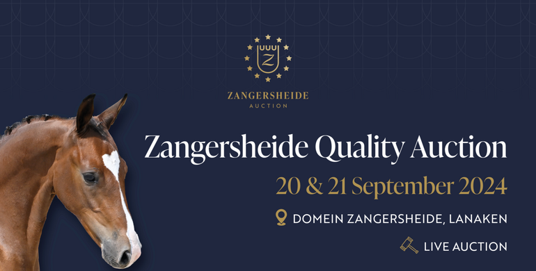 The medal winners of tomorrow - Zangersheide Quality Auction 2024!