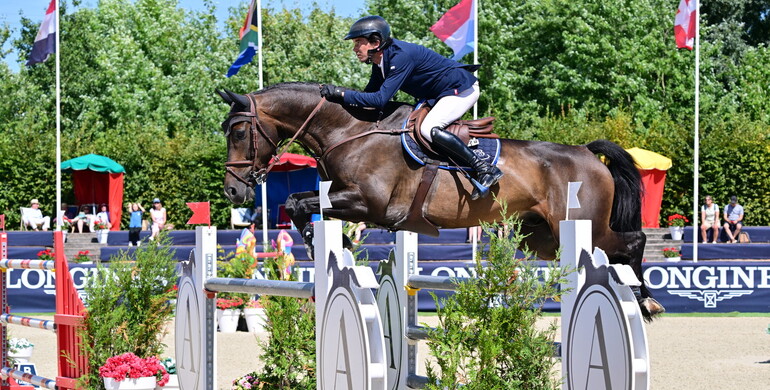 Artemis Farms acquires Giorgio d'Ellipse for Rodrigo Pessoa