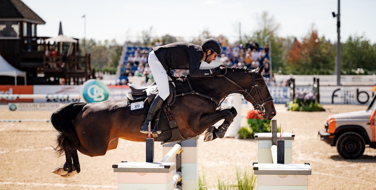 Daido van't Ruytershof Z wins CSI2* Grand Prix by a long Chawke