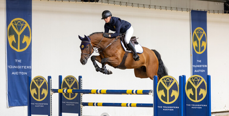 The Youngsters Auction: Highly talented ridden showjumpers and promising 3yo’s